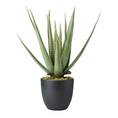 ARTIFICIAL PLANT ALOHE 60 